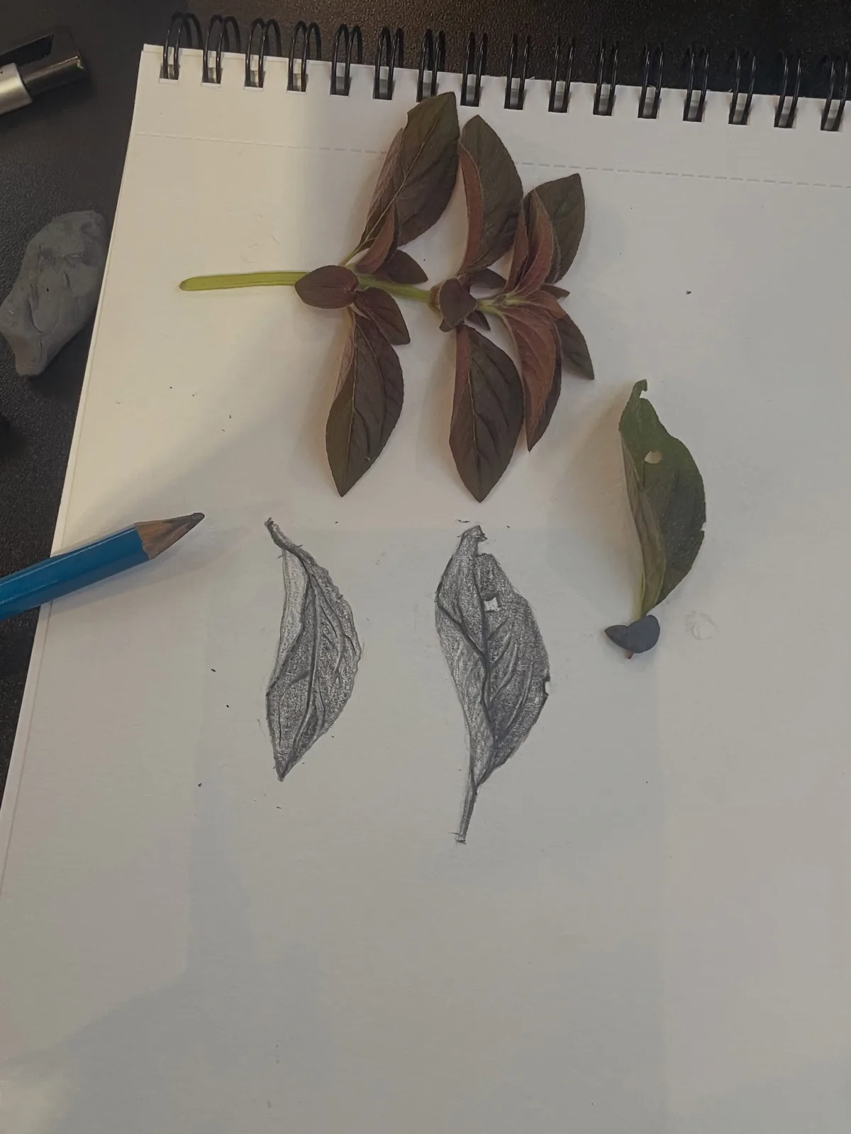 Folhas sobre um caderno de desenhos, ao lado de estudos a lápis.